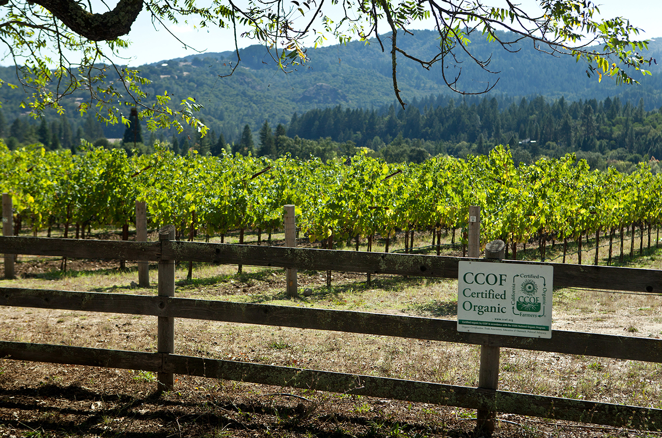 Napa Organic wineries