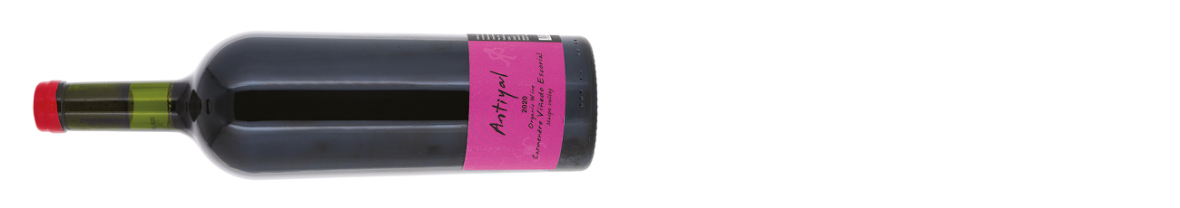 Antiyal-Vinedo-Escorial-Carmenere-Maipo-2020.jpg