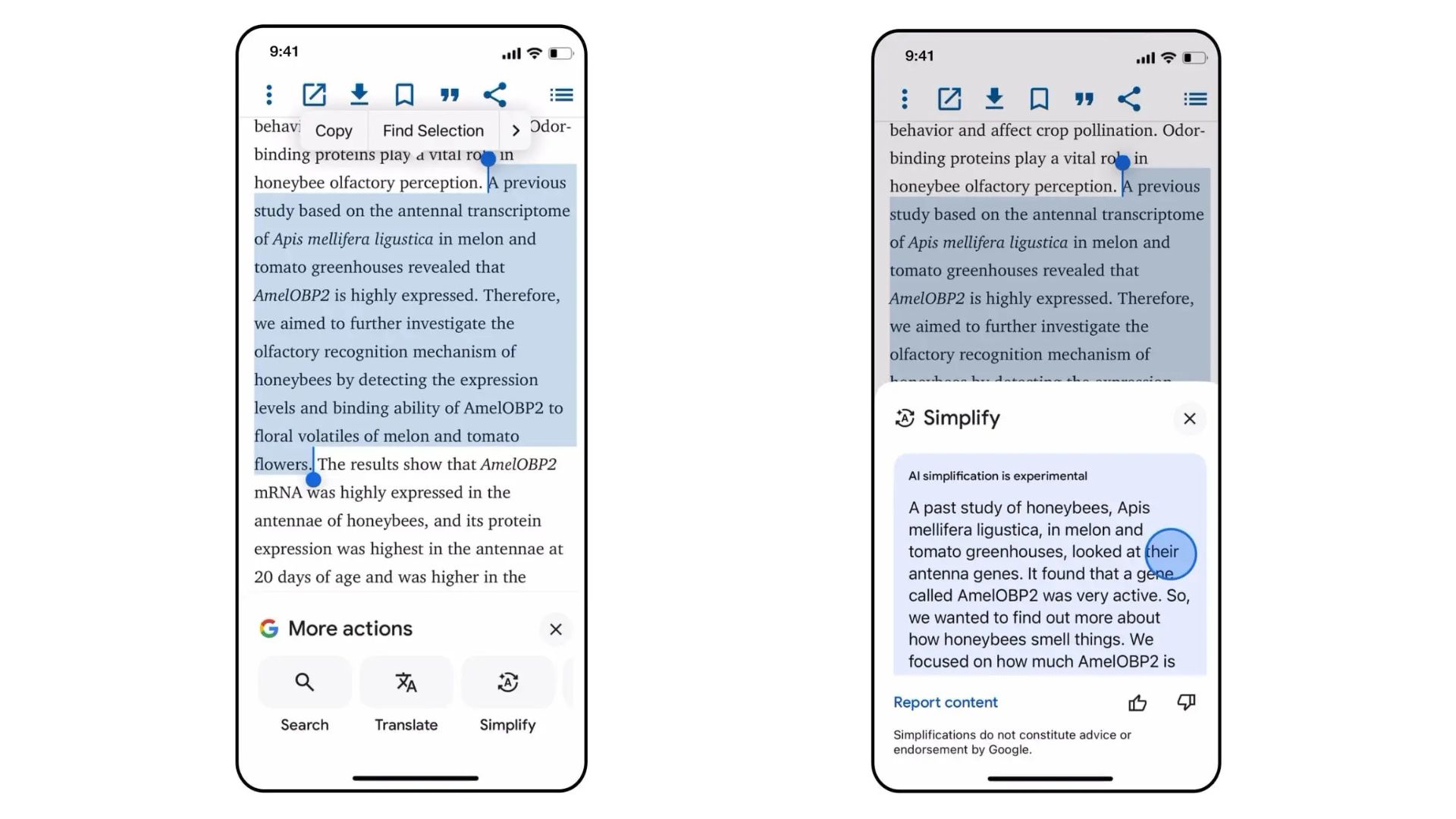 Google Search rolls out "Simplify" on iOS