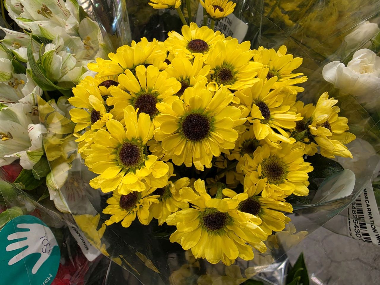 Samsung Galaxy S26 Ultra camera sample.