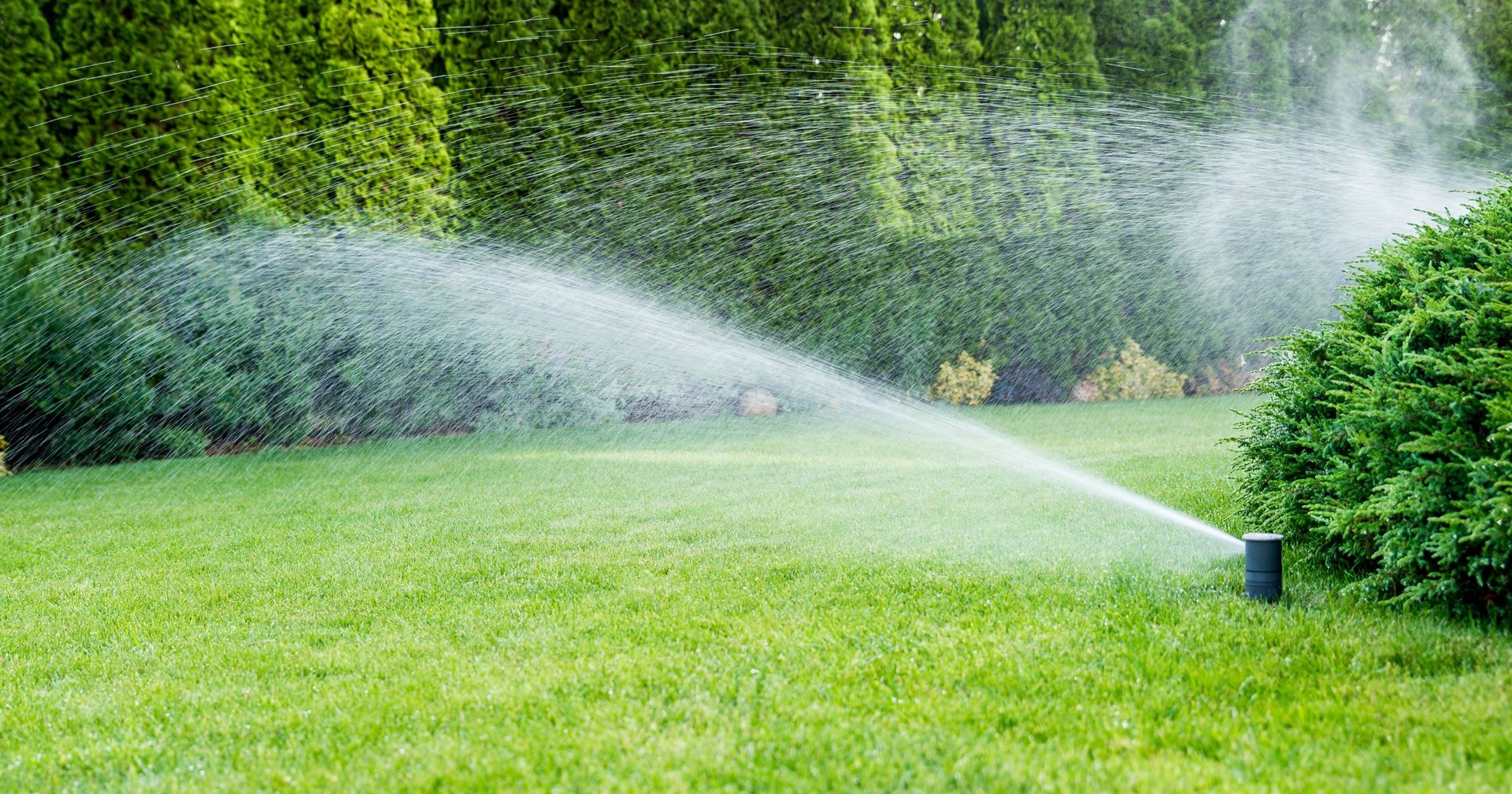 Can I cut wet grass — and how do I know if my grass is too wet