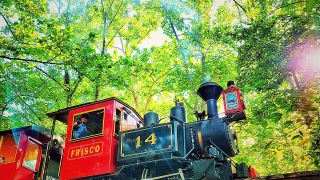 Frisco Silver Dollar Line Steam Train