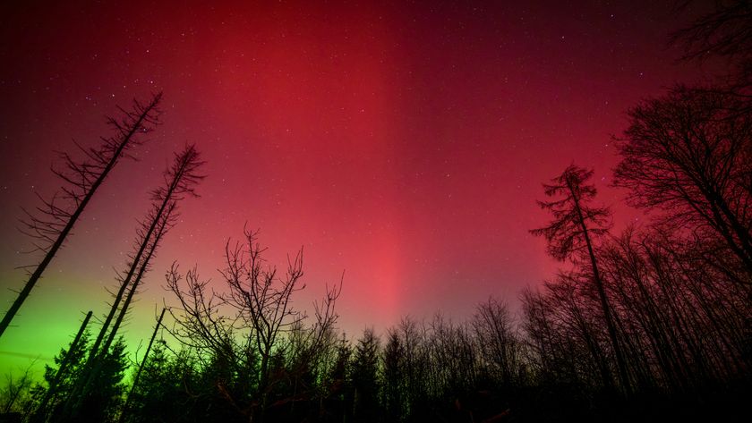 Aurora Borealis, or Northern Lights, are seen above Breckerfeld, North Rhine-Westphalia, western Germany, on January 19, 2026. (Photo by SASCHA SCHUERMANN / AFP via Getty Images)