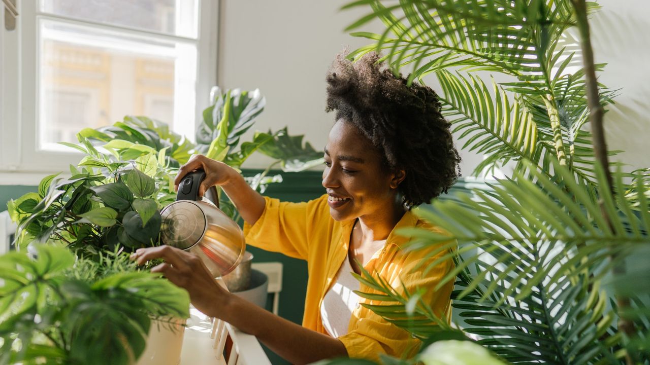 TikTok plant watering hack