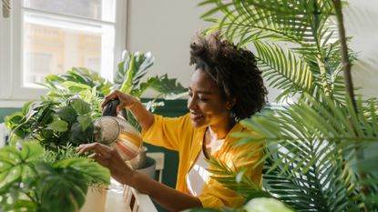 TikTok plant watering hack