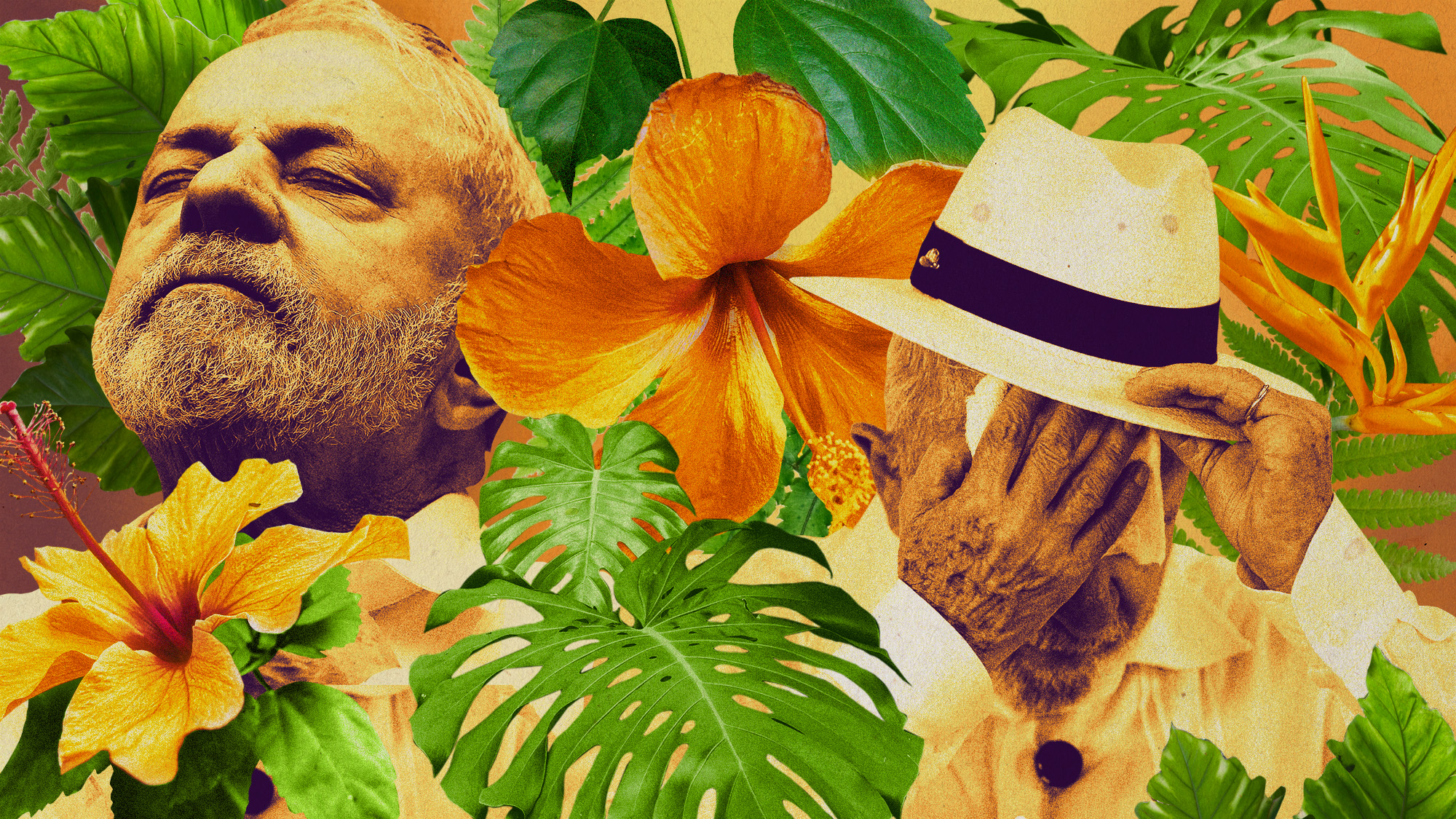 Photo collage of Luiz In&aacute;cio Lula Da Silva, and leaves and flowers from the Amazon forest