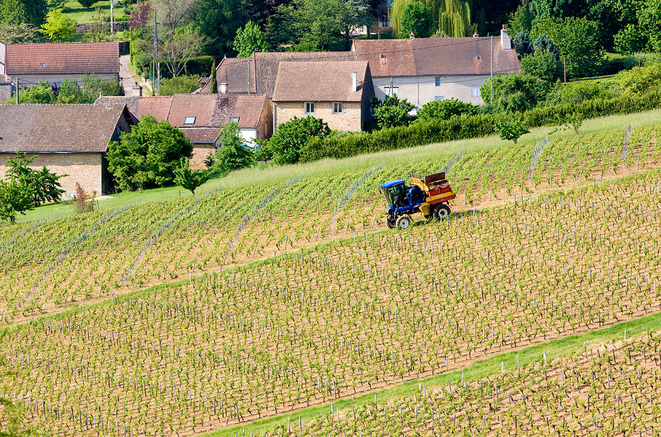 C&amp;ocirc;te Chalonnaise 2020