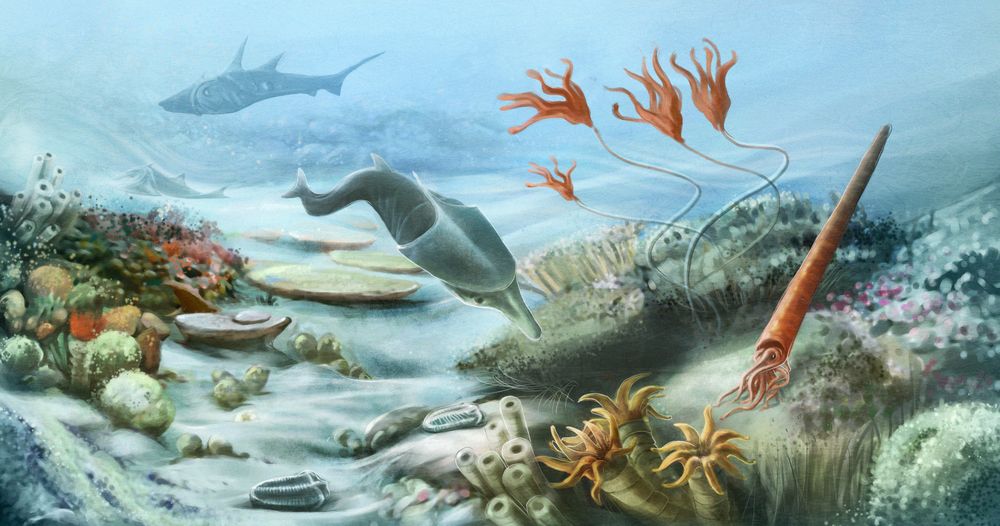 Underwater life thrived during the Silurian Period, 443.8 million years ago to 419.2 million years ago.