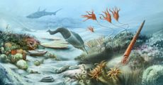 Underwater life thrived during the Silurian Period, 443.8 million years ago to 419.2 million years ago.