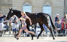 ClassicMoet_Badminton16pn_1511A_1.jpg