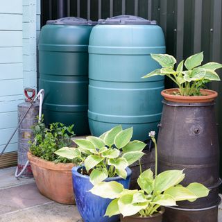 Water butts with plants in the garden