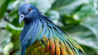 GuruShots - Your Magazine Shot April 25