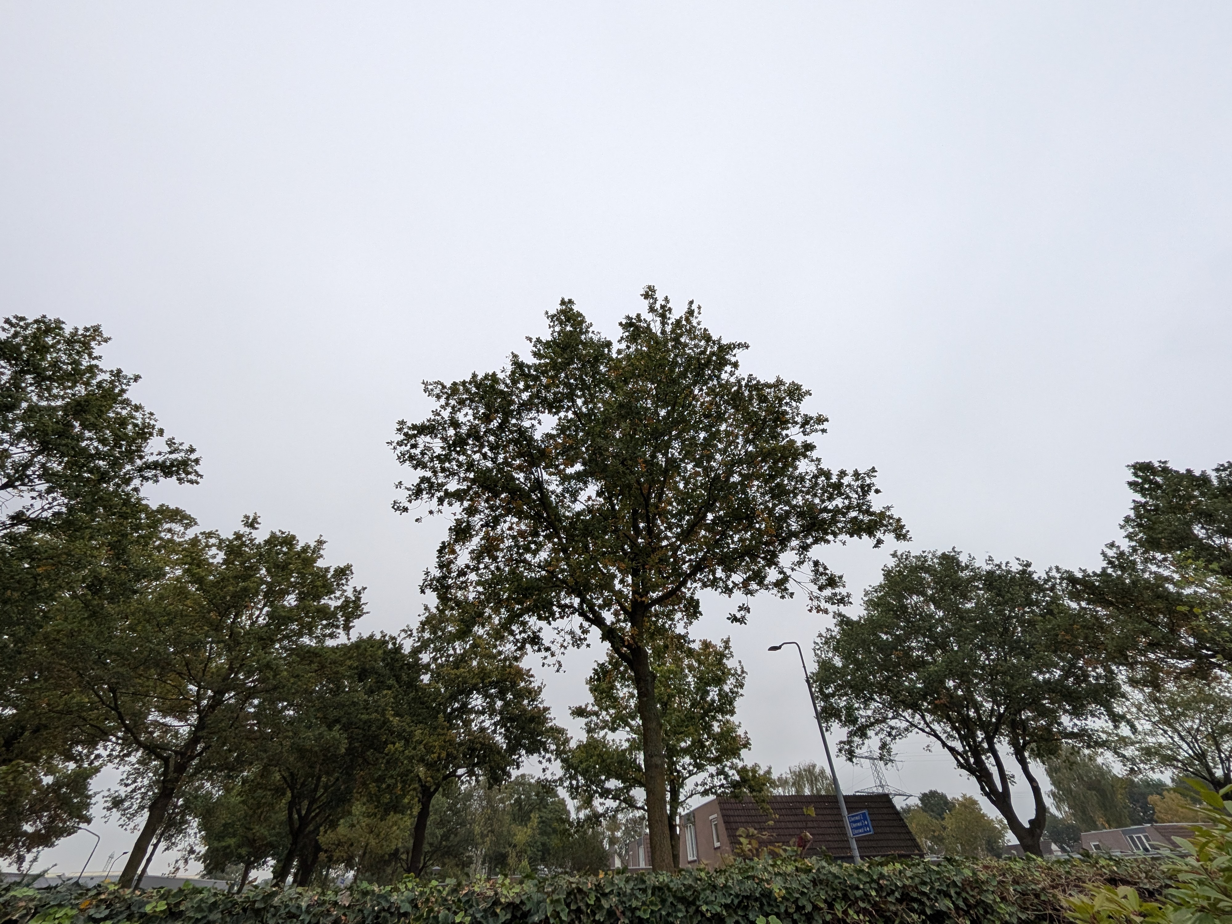 Google Pixel 10 Pro Fold