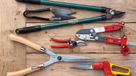 A selection of garden pruning tools