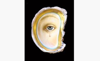 Oil and gold leaf on oyster shell