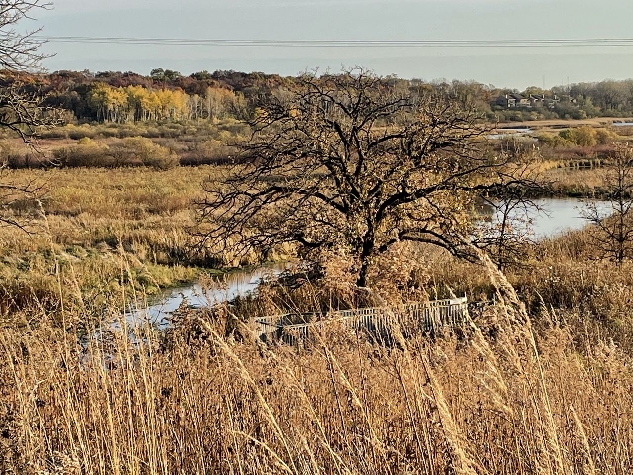 iPhone 12 camera samples