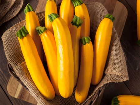 Basket Full Of Golden Zucchini