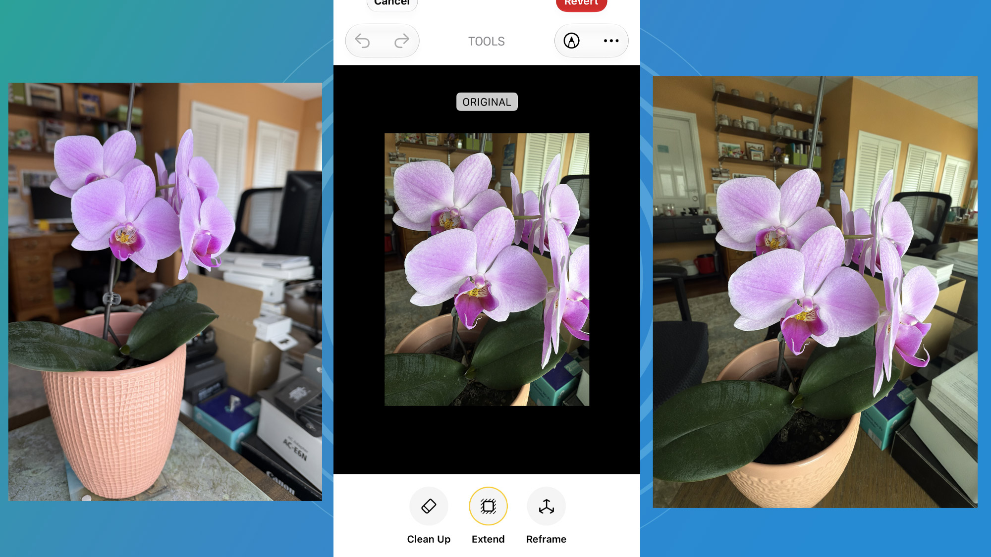 iOS 27 Dev Beta Extend examples