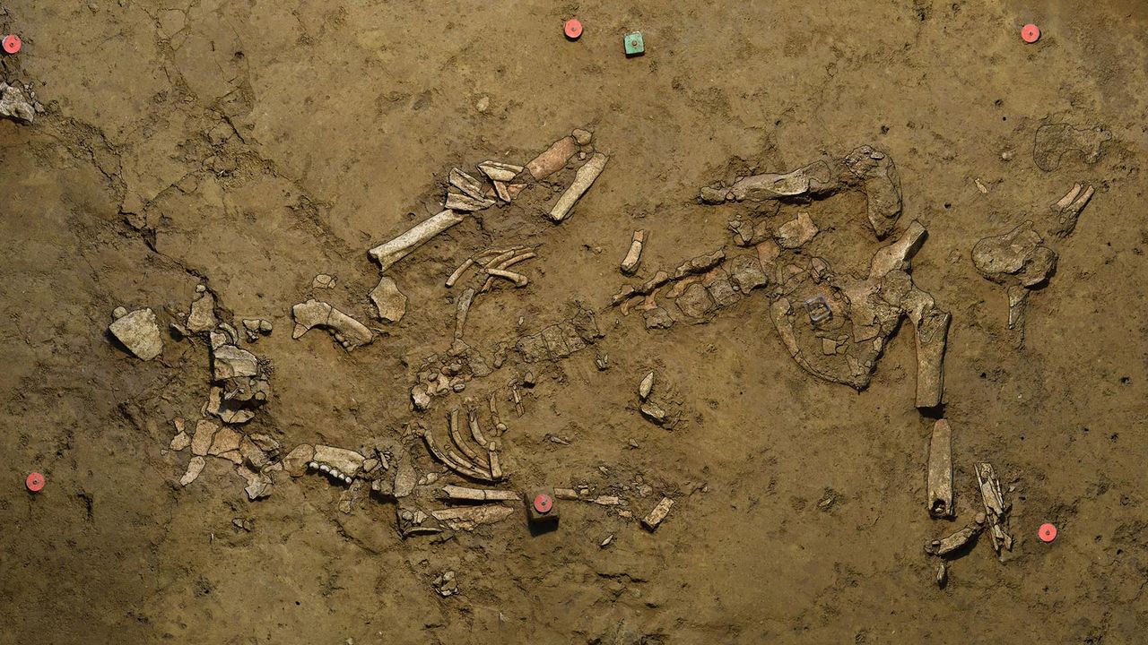 The woman, whose remains were buried in this tomb, was around 20 years old when she died.