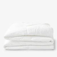 Company Conscious Down Comforter | Was $299.00
