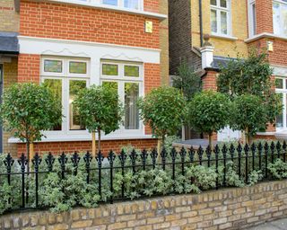 small front garden with low London Stock brick garden wall with traditional black metal railings on top