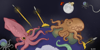 evolution octopus