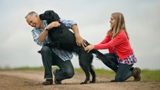 Dog jumping up at man