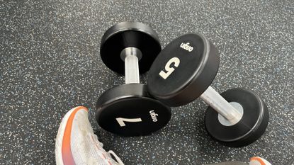 dumbbells on a gym floor