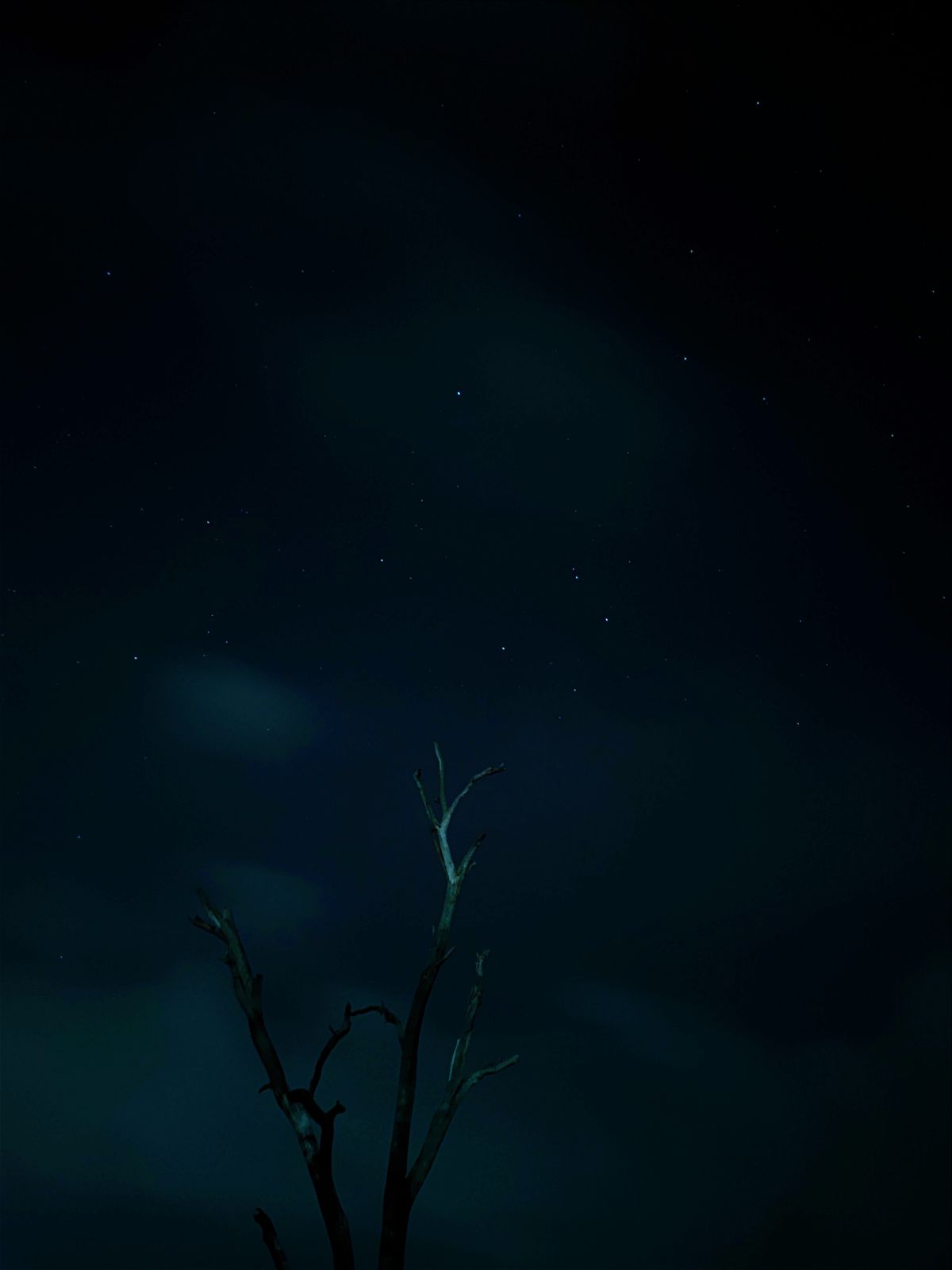 Xiaomi Mi 11 Ultra camera