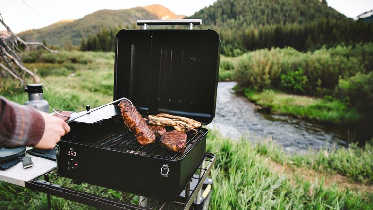 Best small portable barbecue 2020: choose from gas, charcoal or pellets | T3