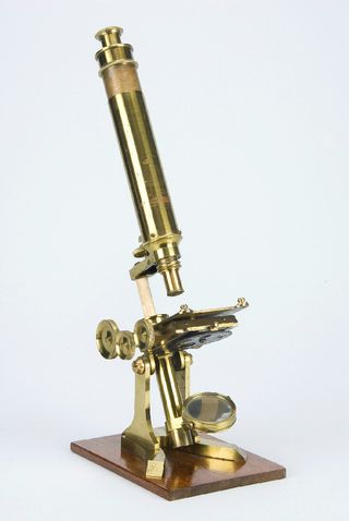 Mark Twain's microscope