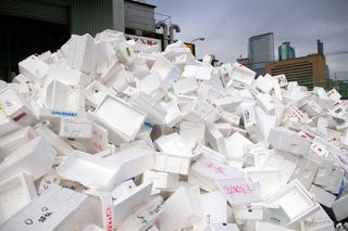 Image result for toxic polystyrene