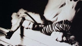 The cover of White Lion's Fight To Survive