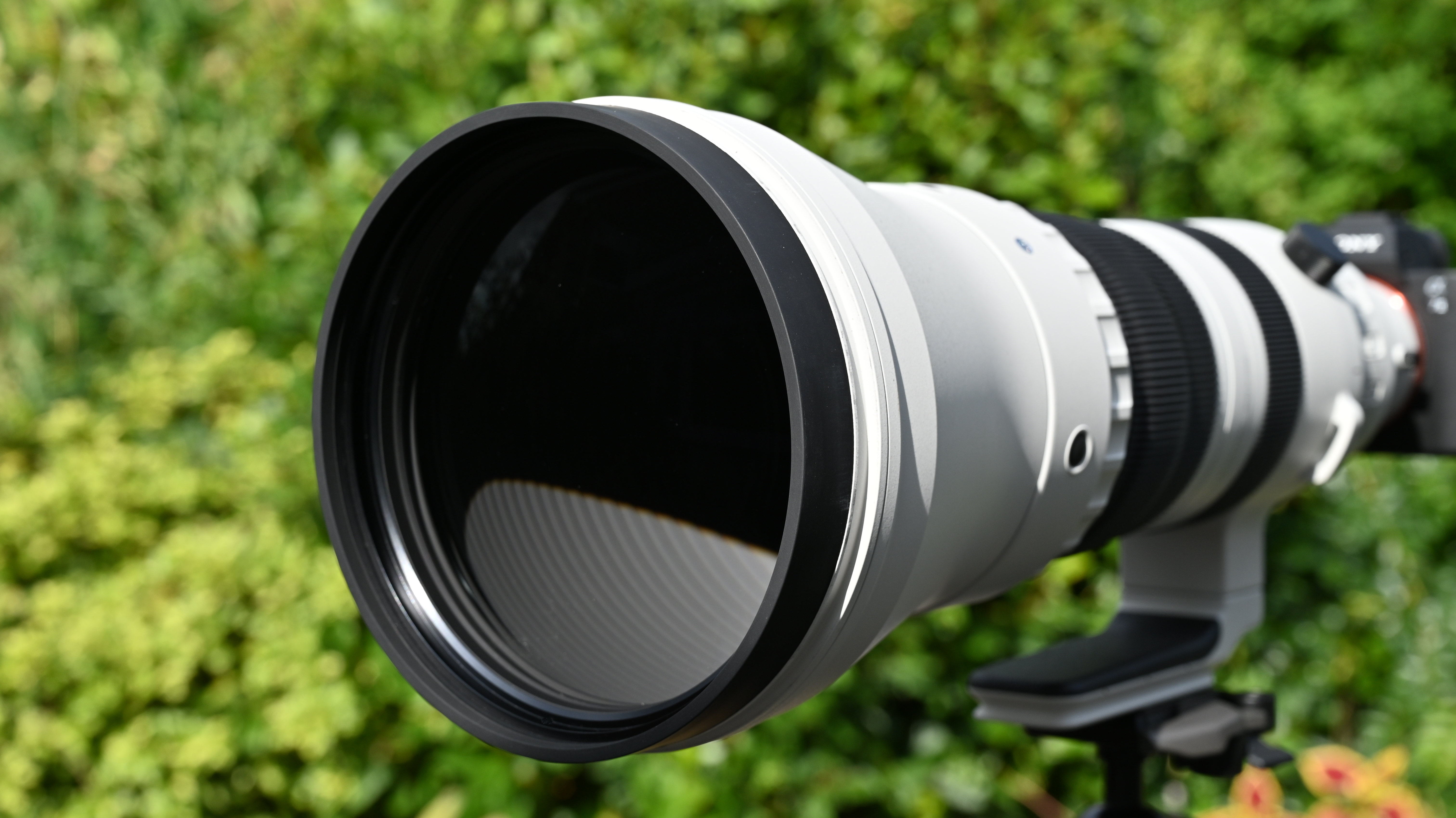 Sigma 300-600mm f/4 DG OS Sports