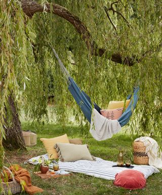 hammock under tree