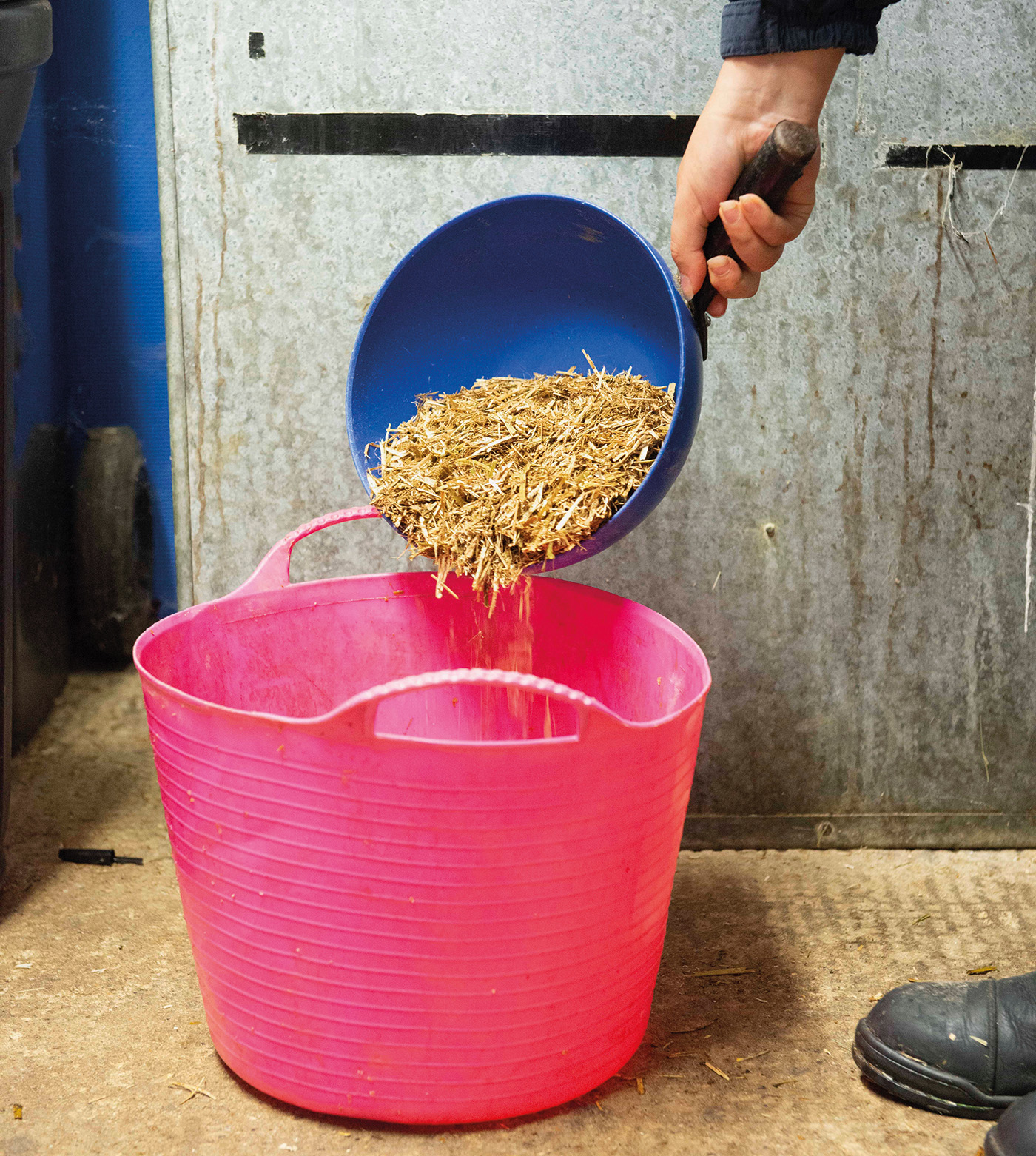 Making feed