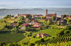 Italy wine holidays