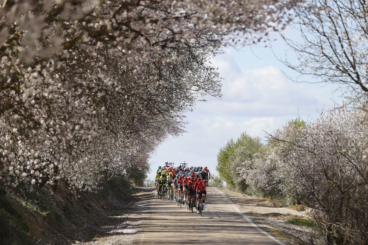 Clasica Jaen Paraiso Interior 2022 - 1st Edition - Baeza - Ubeda 187,8 km - 14/02/2022 - scenery - photo Luis Angel Gomez/SprintCyclingAgencyÂ©2022