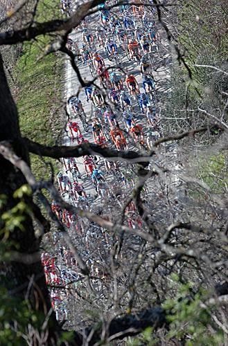 A birds-eye view of the peloton on the final stage in Italy.