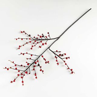 red berry branch