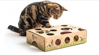 Cat Amazing Interactive Treat Maze toy for indoor cats