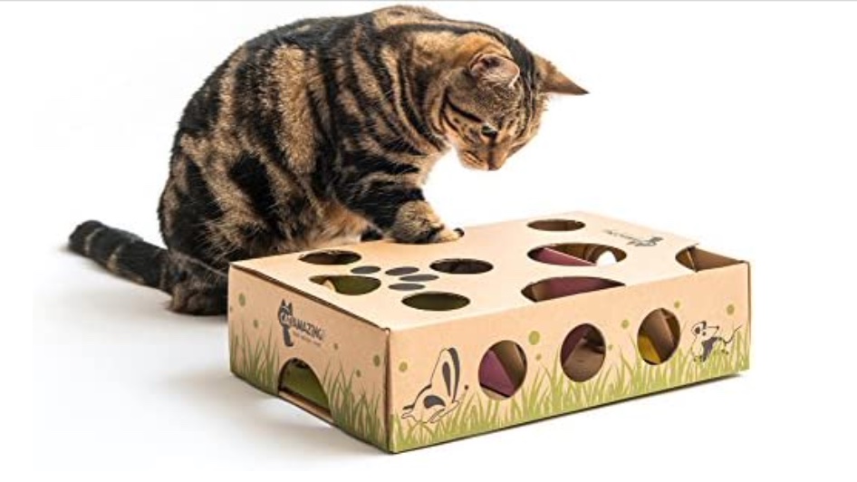 Best toys for indoor cats Six fun playthings for your kitty PetsRadar