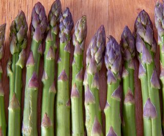 A line of freshly-harvested purple-tipped asparagus stems