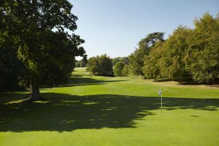 The 8th green on Goodwood's Park course