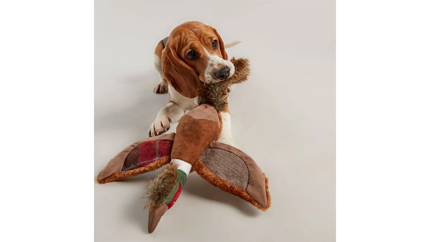 Joules Pheasant Dog Toy (1)
