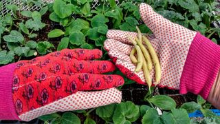 Best gardening gloves: