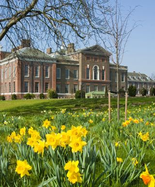 Royal garden tips, lawn at Kensington Palace, Hampton Court Palace lawn