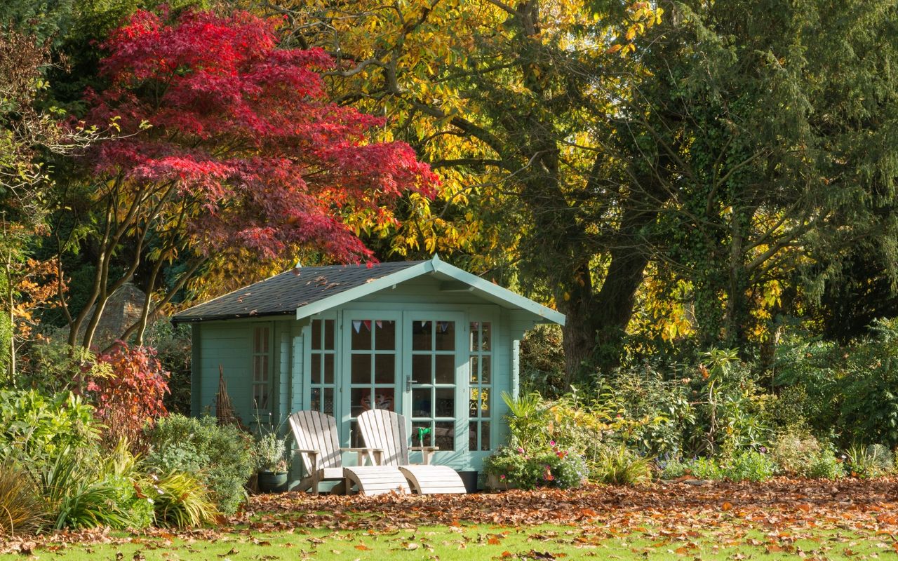 Fall leaves in a garden