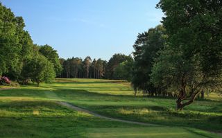 Royal Ashdown Forest Old Course - 16th hole