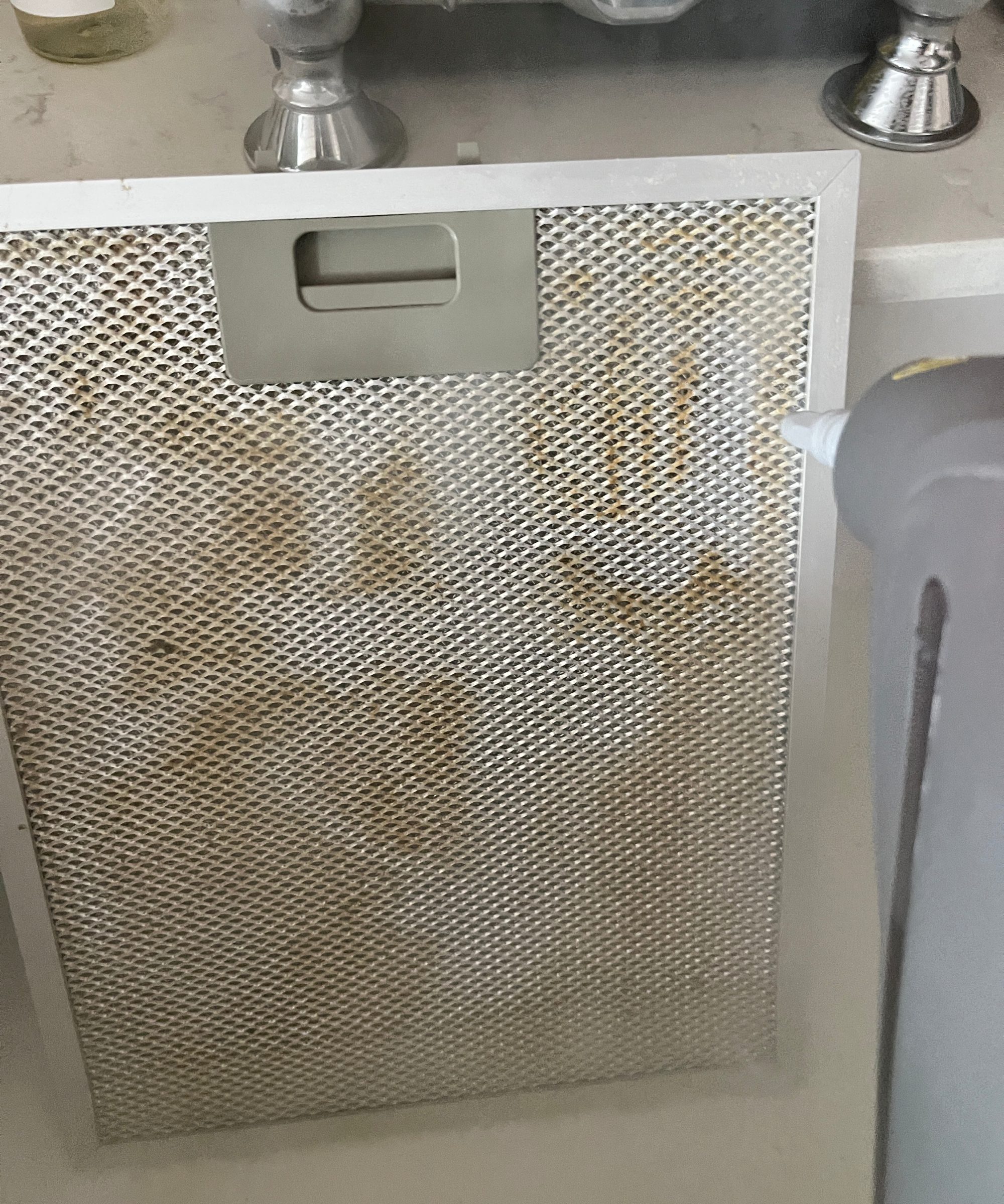 steam cleaner being used on extractor filter placed in sink